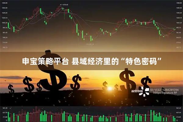申宝策略平台 县域经济里的“特色密码”