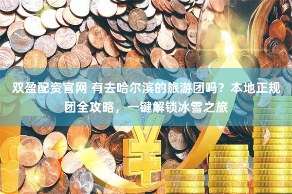 双盈配资官网 有去哈尔滨的旅游团吗？本地正规团全攻略，一键解锁冰雪之旅